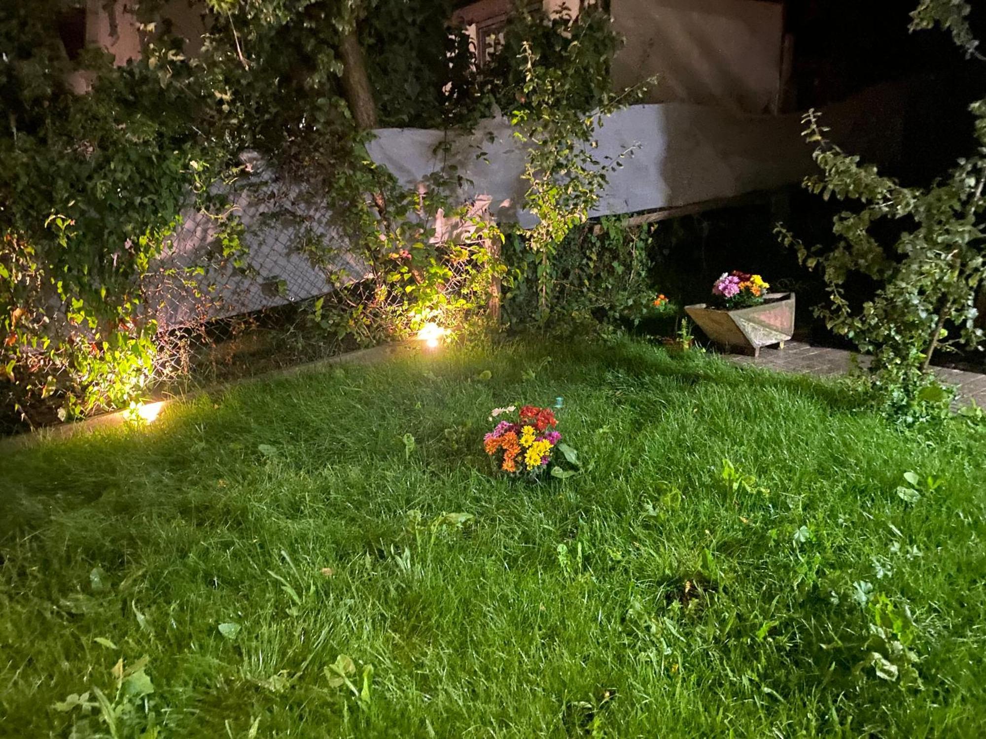 Eden In Vitry Logement Entier Buitenkant foto